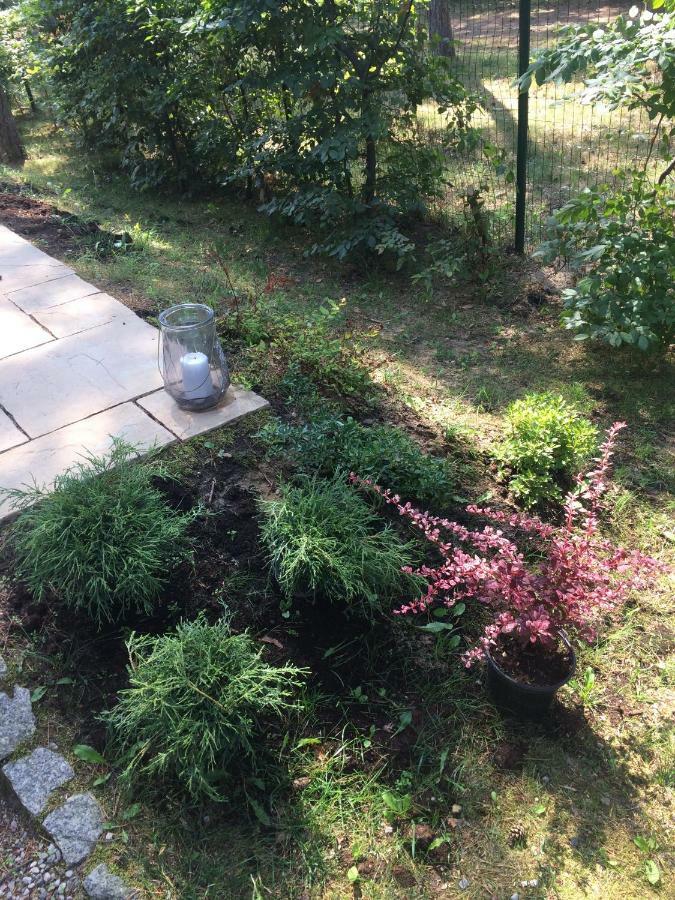Villa Zlote Wydmy Miedzywodzie Luaran gambar